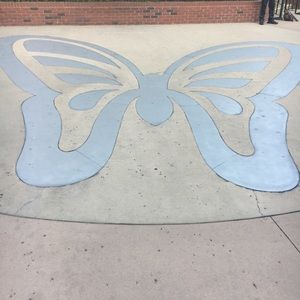 Meet your Posher, Sierra